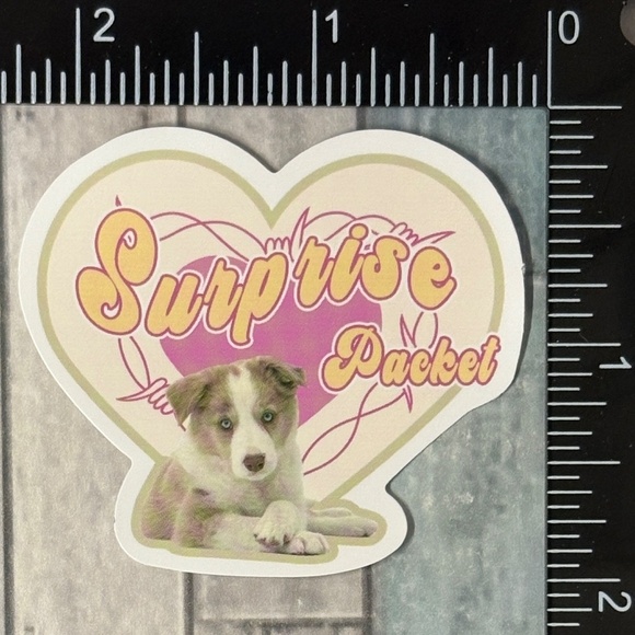 ๐10/$10๐ Retro Pet Reusable Waterproof Vinyl Sticker Decal - Picture 1 of 1